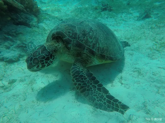 2_Остров Баликасаг