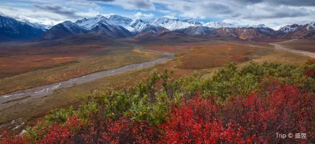 Northern light and Nature: Awesome Guide to Alaska