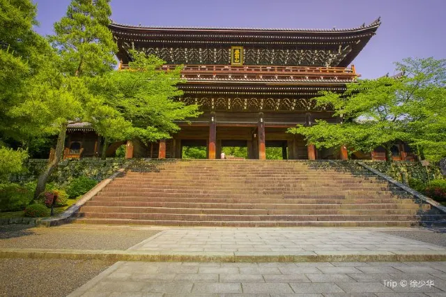 Where Should You Go for the Most Festive Atmosphere at New Year's?