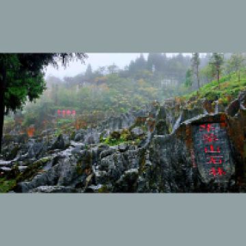評論圖片 7