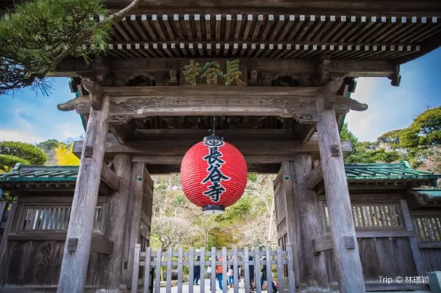 9 Amazing Things to Do in Kamakura (And Places to See!)