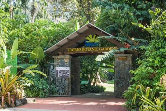 Gondwana Rainforests and More: Australia Rainforests