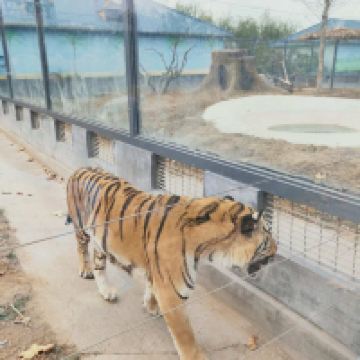評論圖片 1