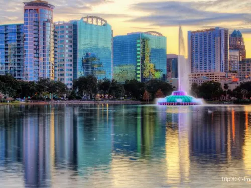 Top 7 Dim Sum Spots in Orlando