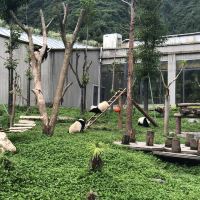 評論圖片 1