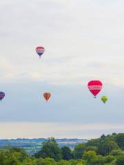 Bristol International Balloon Fiesta