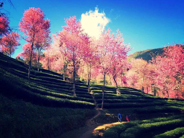 An Overview of Dali's Hidden Niche Attractions, Bringing You to Explore Nature's Secrets