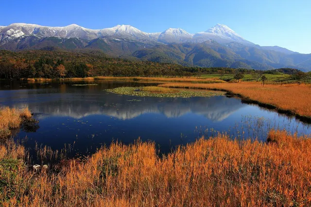 Hokkaido's Breathtaking Fall Scenery