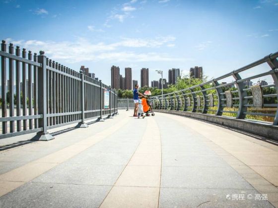 Yintan Wetland Park