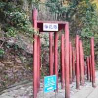 評論圖片 3