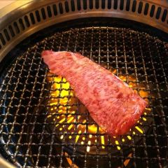 Yakiniku Hormone Seigo Sakae User Photo