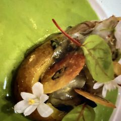 吉地士張用戶圖片