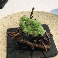 Moliere 여행 사진