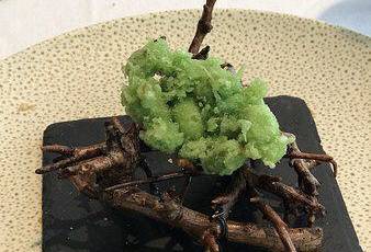 몰리에르 여행 사진