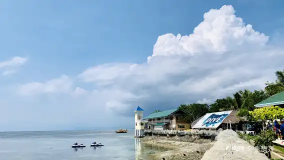 Shiseido Island + Nalusuan Island 1-day tour in Cebu, Philippines|Snorkeling & BBQ lunch included