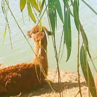 評論圖片 1