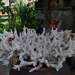 SEA STORY User Photo