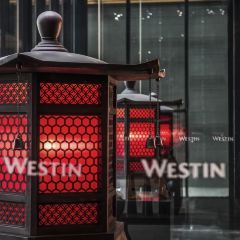 Five Zen5es User Photo