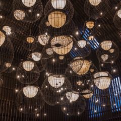 Five Zen5es User Photo