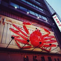 Kani Douraku Ginza Hachichōme User Photo