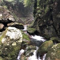 評論圖片 5