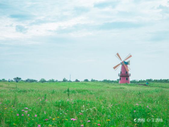 뉴쟈오다구