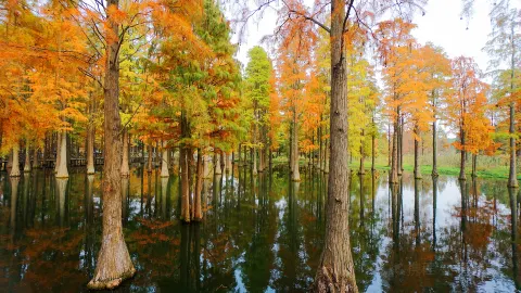Qingxi Country Park attraction in Shanghai