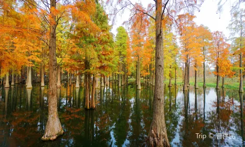 Qingxi Country Park