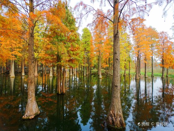 Qingxi Country Park