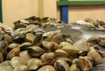 Grill Garden User Photo