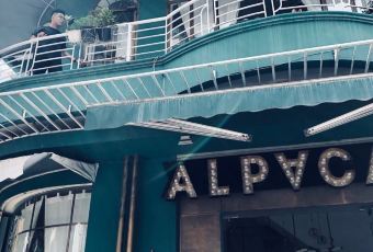 Alpaca homestyle cafe User Photo