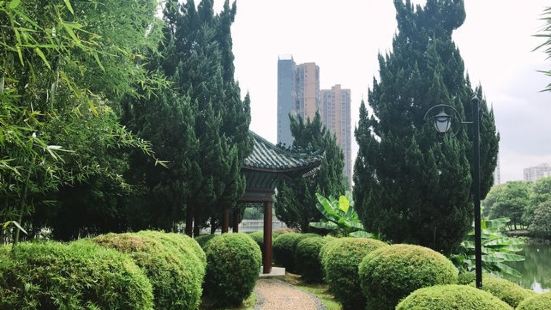 株洲文化園就是市區里的一個小公園，和大多數的公園一樣，有人工