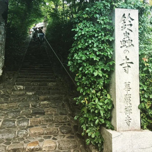 【京都神社⛩️】京都本地人會去的10大神社推介!