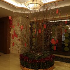 康帝國際酒店·玉闕宮中餐廳張用戶圖片