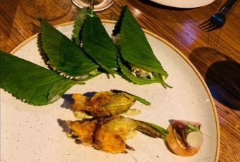 Juniper & Ivy User Photo