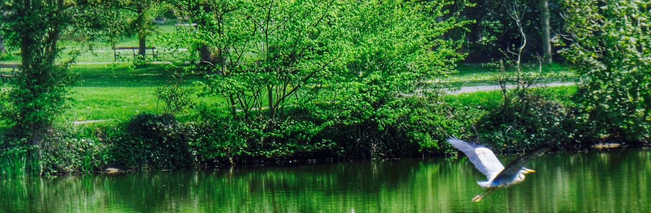 The Whitworth Terrace