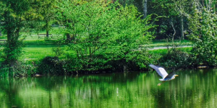 The Whitworth Terrace