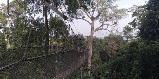 Kakum National Park