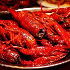 虾农龙虾 User Photo