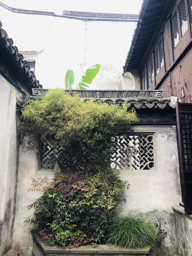 장팅