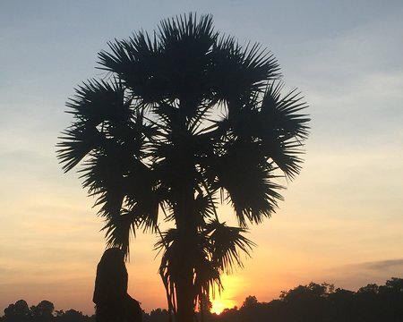 皇家浴池