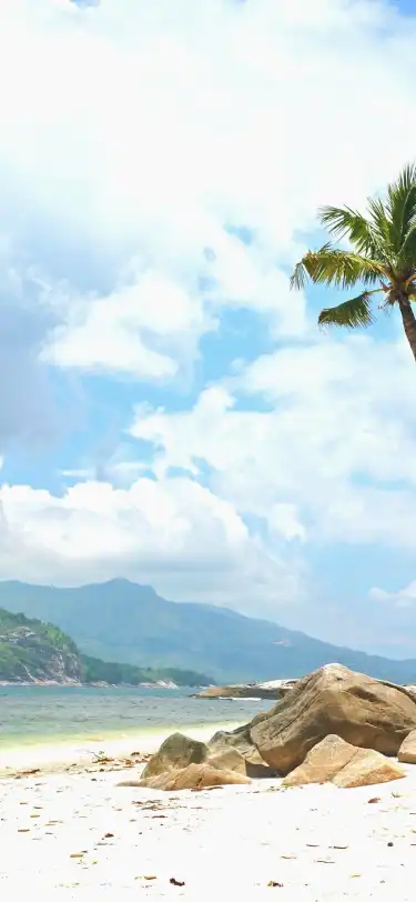 Gasthäuser in Seychellen