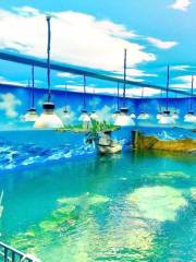 Wenzhou Aquarium