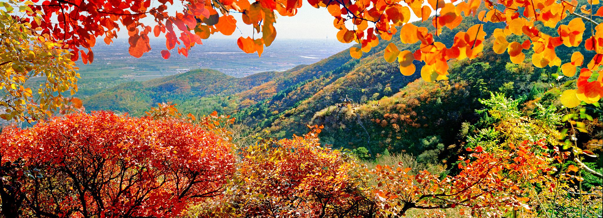 กิจกรรม10ยอดนิยมในปักกิ่ง