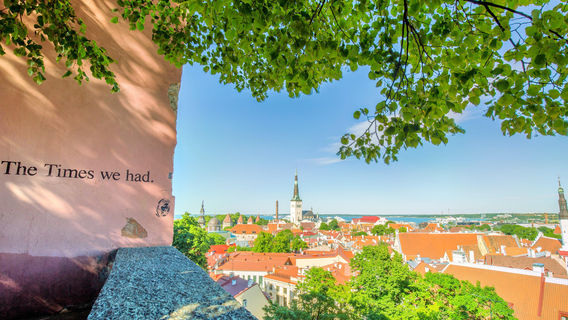 Kohtuotsa viewing platform