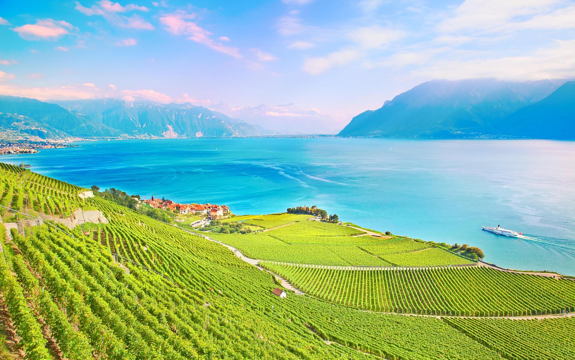Lavaux Vinorama Tickets [2025] Promos, Prices, Reviews Opening