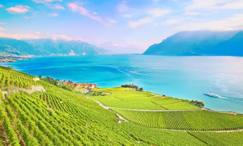 Lavaux Vineyard Terraces