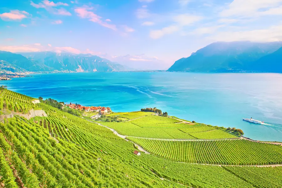 Lavaux Vineyard Terraces