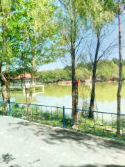 Tacheng Fishing Park