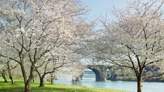 費爾芒特公園